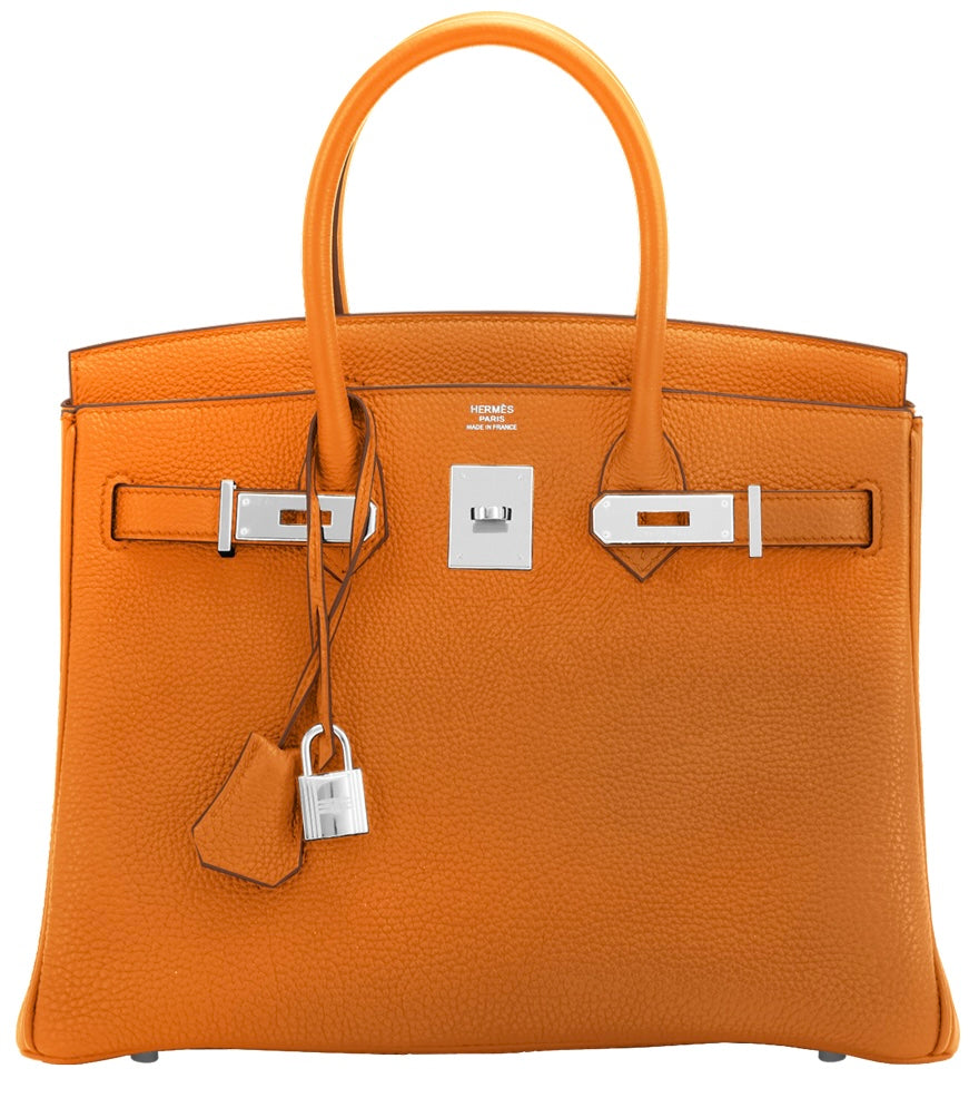 birkin Togo Bag
